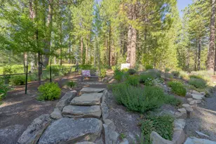 166 Black Bear Trail, Clio, CA 96106 - Photo 26