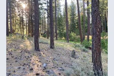 235 Black Bear Trail #VI, Clio, CA 96106 - Photo 1