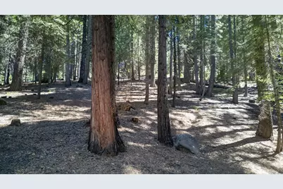 124 Marion Trail, Lake Almanor West, CA 96020 - Photo 26