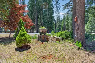 301 Raccoon Trail, Lake Almanor West, CA 96020 - Photo 30