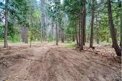 58374 Gill Ranch Road, Cromberg, CA 96103 - Photo 10