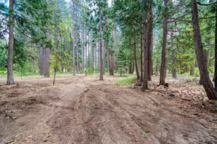 58374 Gill Ranch Rd, Cromberg, CA 96103 - Photo 10