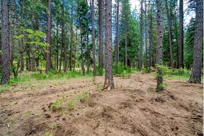 58374 Gill Ranch Road, Cromberg, CA 96103 - Photo 12