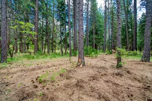 58374 Gill Ranch Rd, Cromberg, CA 96103 - Photo 12