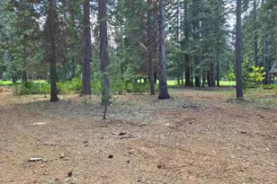 254 Lake Almanor W Dr, Chester, CA 96020 - Photo 1