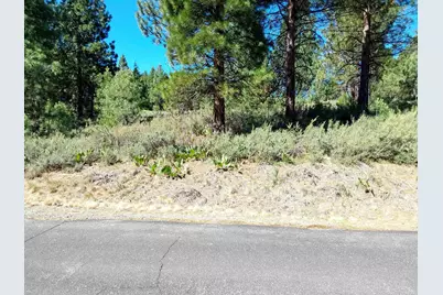 1175 Great Spirit #16, Portola, CA 96122 - Photo 2
