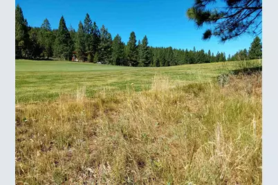 1175 Great Spirit #16, Portola, CA 96122 - Photo 4