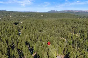 34 Wishram Trail, Graeagle, CA 96103 - Photo 40