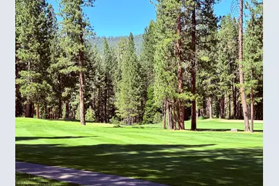 224 Jacks Court, Blairsden, CA 96103 - Photo 24