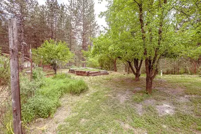 862 Willow Way, Greenville, CA 95947 - Photo 44