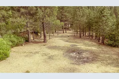 862 Willow Way, Greenville, CA 95947 - Photo 40