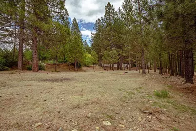 862 Willow Way, Greenville, CA 95947 - Photo 42