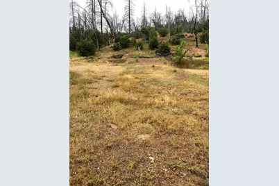 520 Main Street, Greenville, CA 95947 - Photo 2