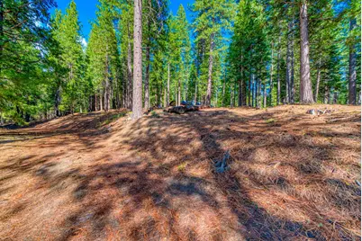 954 Red Fox Road, Clio, CA 96106 - Photo 4
