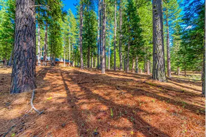 954 Red Fox Road, Clio, CA 96106 - Photo 10