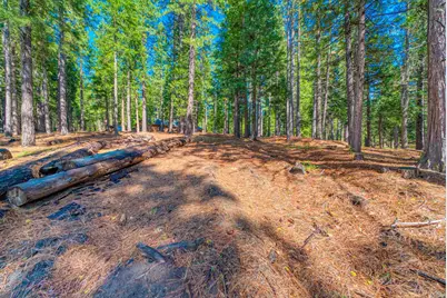954 Red Fox Road, Clio, CA 96106 - Photo 6