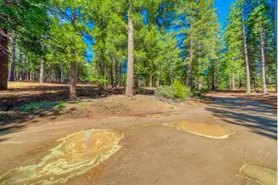 954 Red Fox Road, Clio, CA 96106 - Photo 14