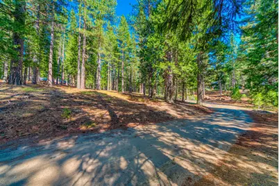 954 Red Fox Road, Clio, CA 96106 - Photo 18