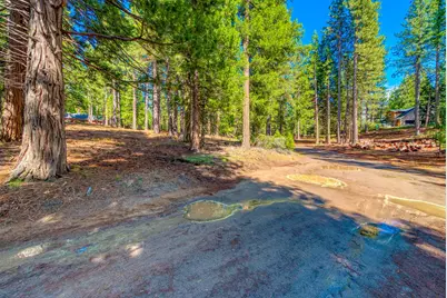 954 Red Fox Road, Clio, CA 96106 - Photo 16