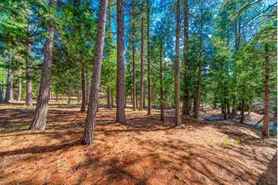 954 Red Fox Road, Clio, CA 96106 - Photo 12