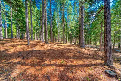 954 Red Fox Road, Clio, CA 96106 - Photo 8