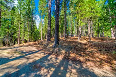 954 Red Fox Road, Clio, CA 96106 - Photo 2