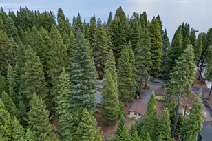 927 Peninsula Dr, Lake Almanor, CA 96137 - Photo 34