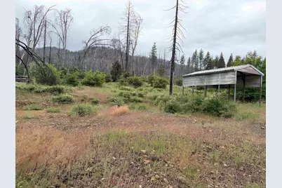 152 Standart Mine Road, Greenville, CA 95947 - Photo 4