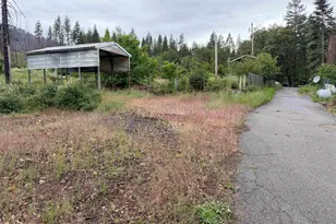 152 Standart Mine Rd, Greenville, CA 95947 - Photo 1