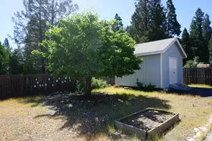 141 Forest View Dr, Quincy, CA 95971 - Photo 30