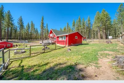 6117 Crackerjack Creek Road, Portola, CA 96122 - Photo 10