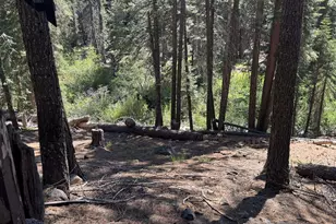 Lot 10 Willow Creek Homesites, Chester, CA 96020 - Photo 28