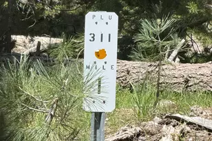 Lot 10 Willow Creek Homesites, Chester, CA 96020 - Photo 34