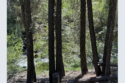 Lot 10 Willow Creek Homesites, Chester, CA 96020 - Photo 30