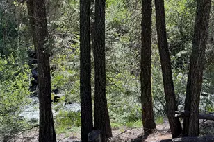 Lot 10 Willow Creek Homesites, Chester, CA 96020 - Photo 30