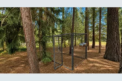 204 Poplar Valley Road, Blairsden, CA 96103 - Photo 50