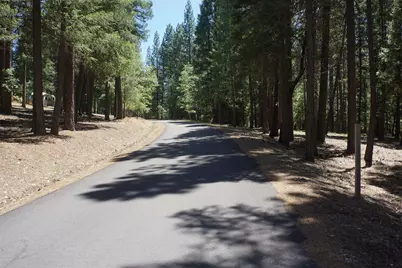 397 Main Ranch Road, Quincy, CA 95971 - Photo 14