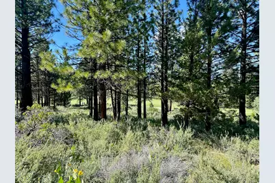 928 Red Sky, Portola, CA 96122 - Photo 6