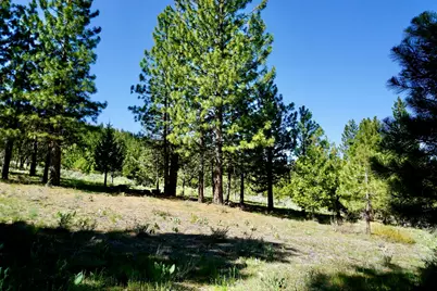 1034 Great Spirit GM#16, Portola, CA 96122 - Photo 8