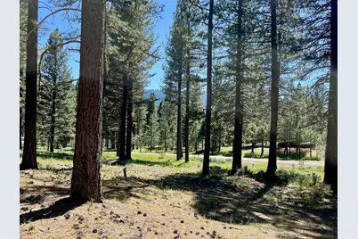 1855 Valley Ranch Drive, Clio, CA 96106 - Photo 2