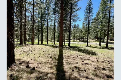 1855 Valley Ranch Drive, Clio, CA 96106 - Photo 20