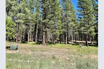 1855 Valley Ranch Drive, Clio, CA 96106 - Photo 12