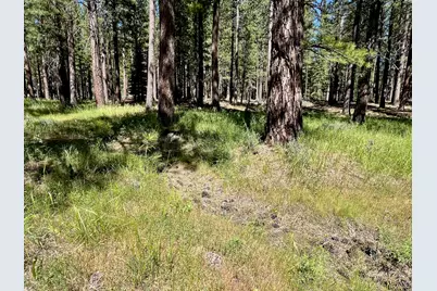 1855 Valley Ranch Drive, Clio, CA 96106 - Photo 14