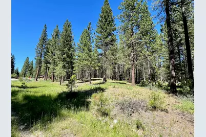 1855 Valley Ranch Drive, Clio, CA 96106 - Photo 8