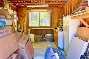 388 Pine St, Clio, CA 96106 - Photo 48