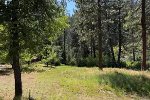 169 Riverview Ln, Twain, CA 95984 - Photo 32