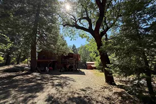 169 Riverview Ln, Twain, CA 95984 - Photo 28