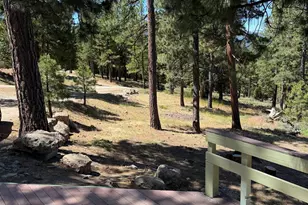 69067 Porcupine Rd, Blairsden, CA 96103 - Photo 10