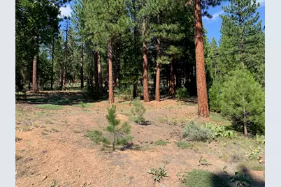 678 Blacktail Ridge, Portola, CA 96122 - Photo 1
