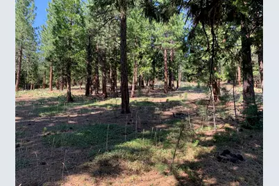 678 Blacktail Ridge, Portola, CA 96122 - Photo 10
